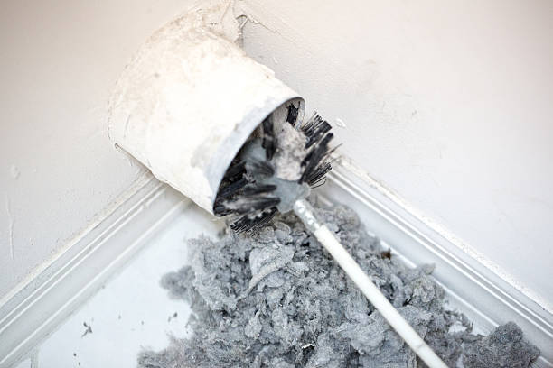 Best Professional Duct Cleaning Services  in Hernando, FL